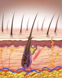 63c4f4d3-0c99-49d0-8f91-db84ce38771e.jfif